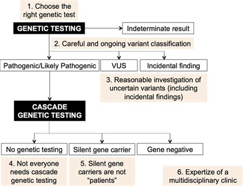 Genetic Testing for a Patient with Suspected 3 Beta .